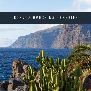 Máme pro vás žhavou novinku! Našli jsme spřízněnou duši na vedlejším ostrově Tenerife a konečně máme spojence pro projekt,...