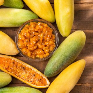 Zítra přiletí novinka! Velmi dlouho jsem se snažila sehnat sazenice téhle specifické odrůdy marakuji, ale zatím marně....